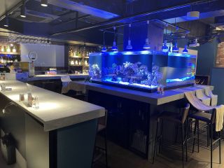 北新地好立地ビル オシャレ ダイニングバー案件 店舗そのままオークション